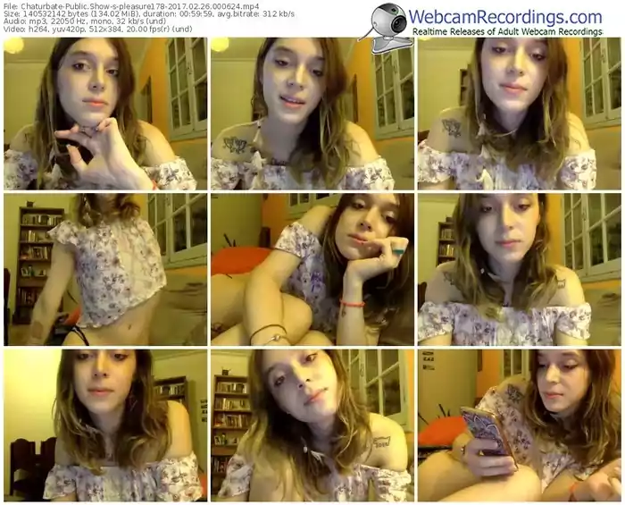 chaturbate-pleasure178-webcam-show-02_26_2017-00_06_24