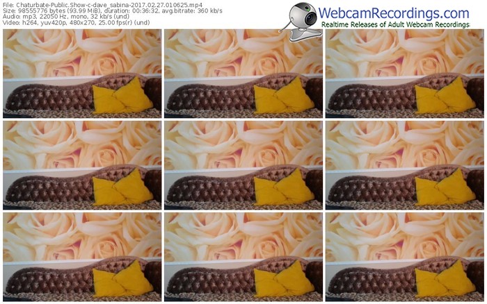 chaturbate-dave_sabina-webcam-show-02_27_2017-01_06_25