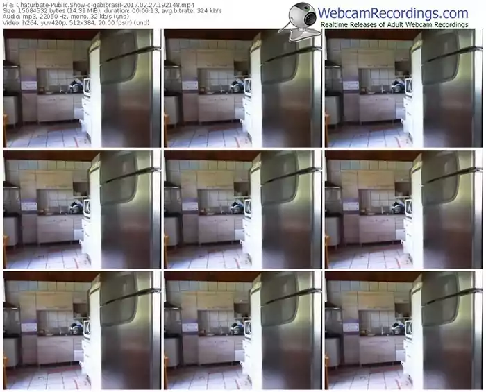 chaturbate-gabibrasil-webcam-show-02_27_2017-19_21_48