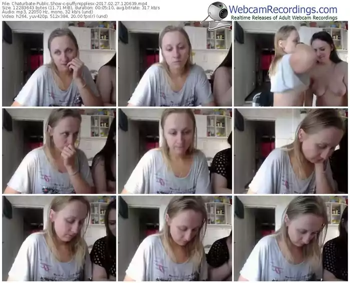 chaturbate-puffynipplesx-webcam-show-02_27_2017-12_06_39