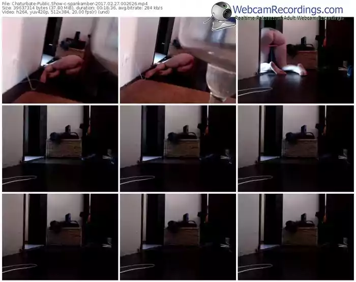 chaturbate-spankamber-webcam-show-02_27_2017-00_26_26