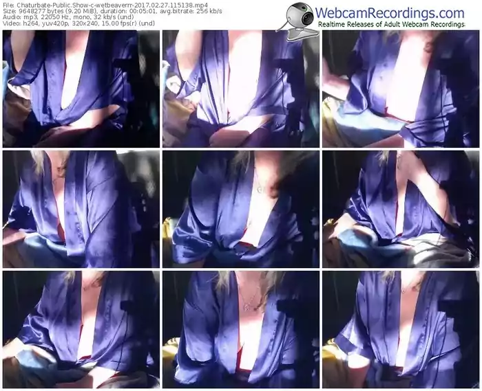 chaturbate-wetbeaverrr-webcam-show-02_27_2017-11_51_38