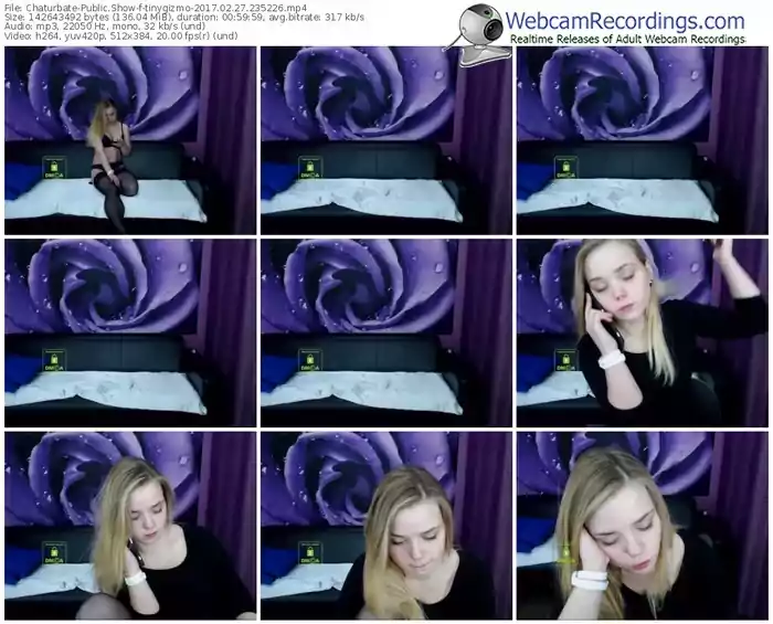 chaturbate-tinygizmo-webcam-show-02_27_2017-23_52_26