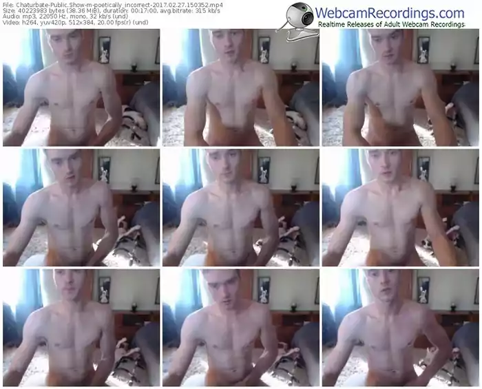 chaturbate-poetically_incorrect-webcam-show-02_27_2017-15_03_52