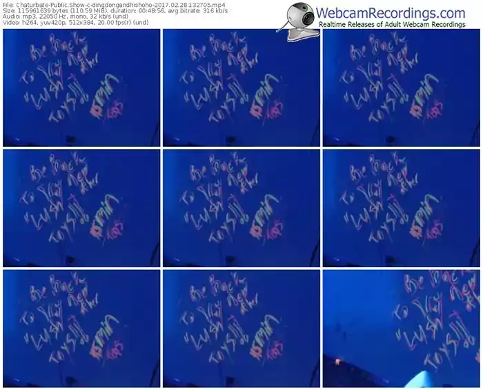 chaturbate-dingdongandhishoho-webcam-show-02_28_2017-13_27_05