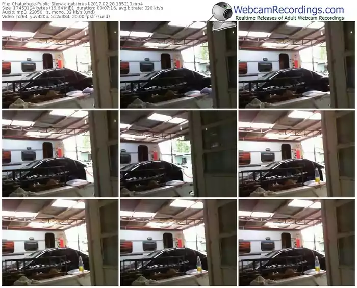 chaturbate-gabibrasil-webcam-show-02_28_2017-18_52_13