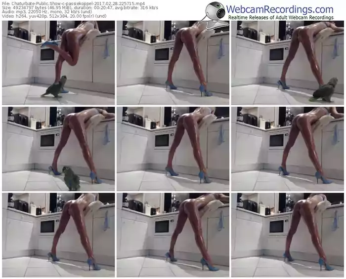 chaturbate-passiekoppel-webcam-show-02_28_2017-22_57_15