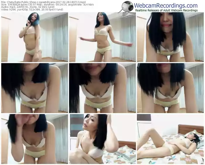 chaturbate-sweetdilyara-webcam-show-02_28_2017-18_07_13