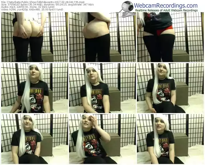 chaturbate-8bitdeviants-webcam-show-02_28_2017-04_17_35