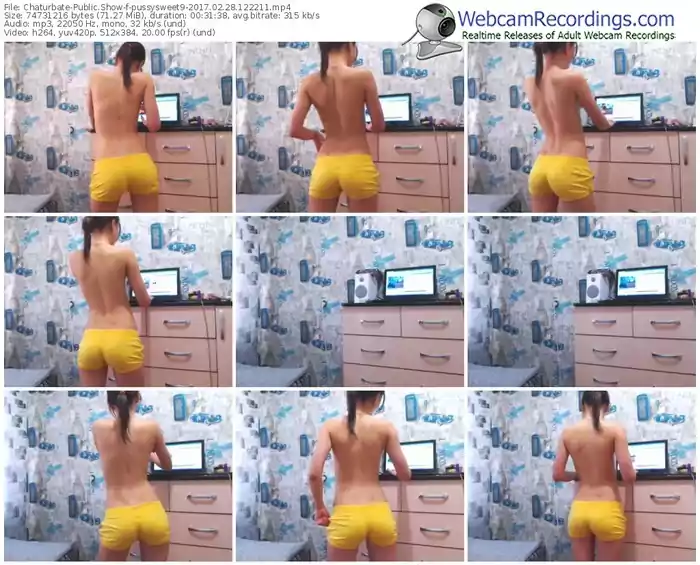 chaturbate-pussysweet9-webcam-show-02_28_2017-12_22_11