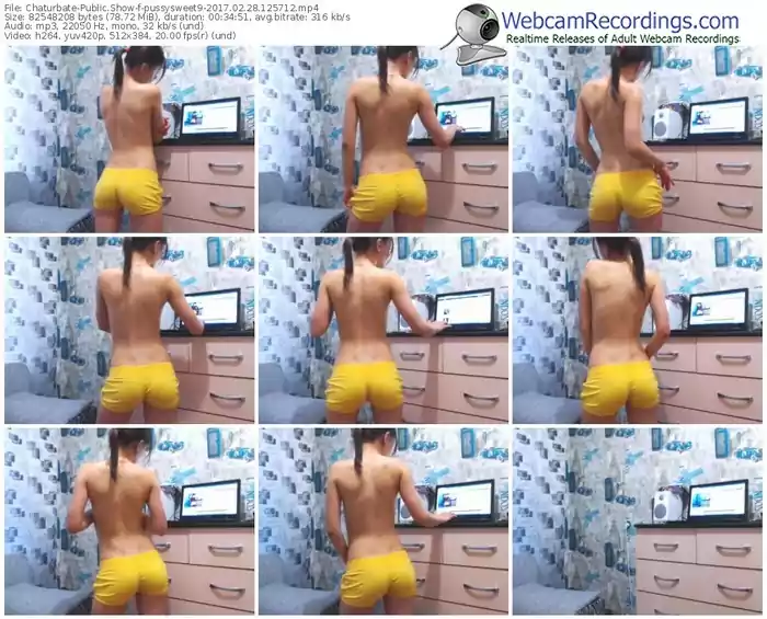 chaturbate-pussysweet9-webcam-show-02_28_2017-12_57_12