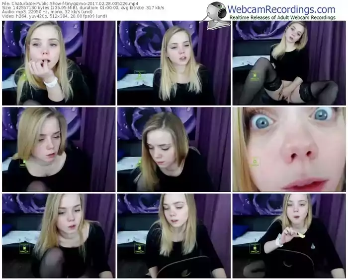 chaturbate-tinygizmo-webcam-show-02_28_2017-00_52_26