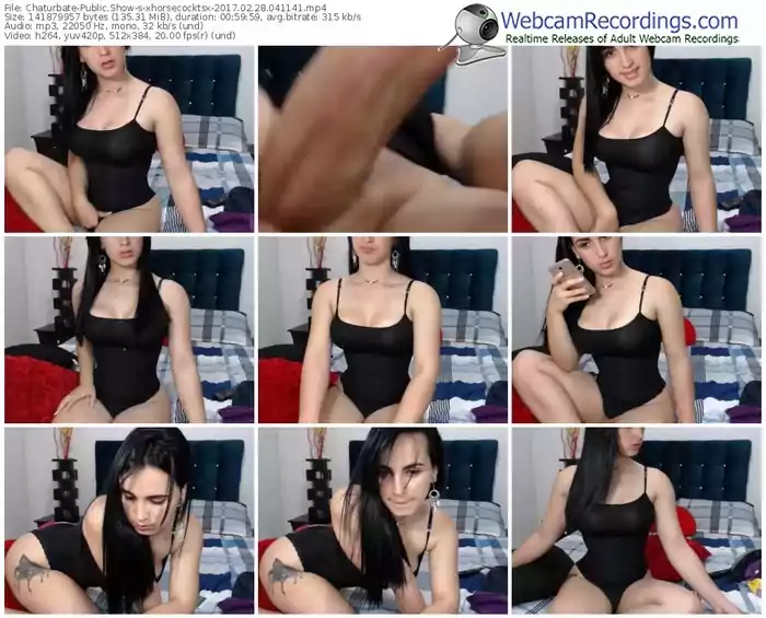 chaturbate-xhorsecocktsx-webcam-show-02_28_2017-04_11_41