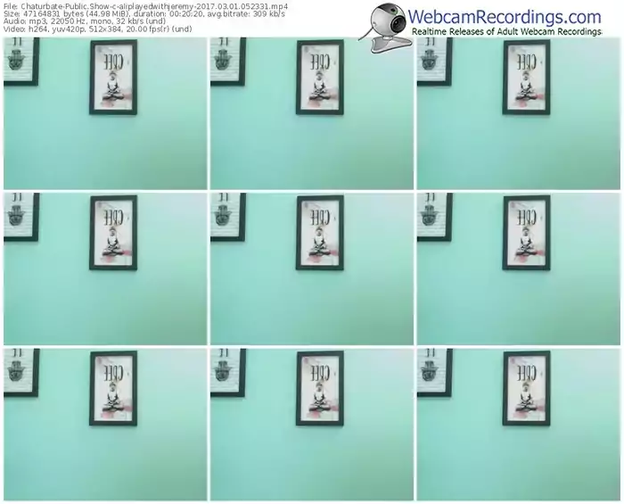 chaturbate-aliplayedwithjeremy-webcam-show-03_01_2017-05_23_31