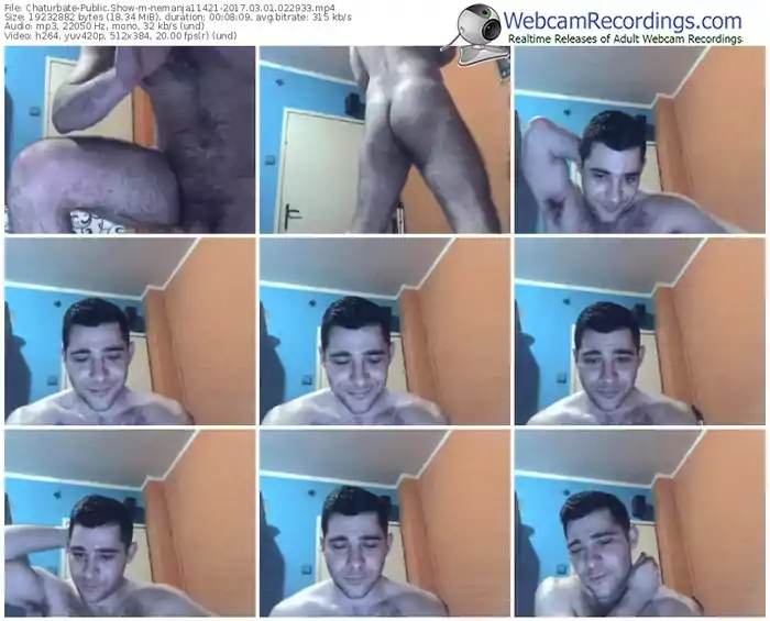 chaturbate-nemanja11421-webcam-show-03_01_2017-02_29_33