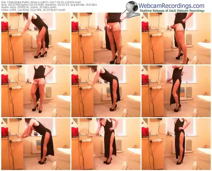 chaturbate-cats71-webcam-show-03_01_2017-11_02_03