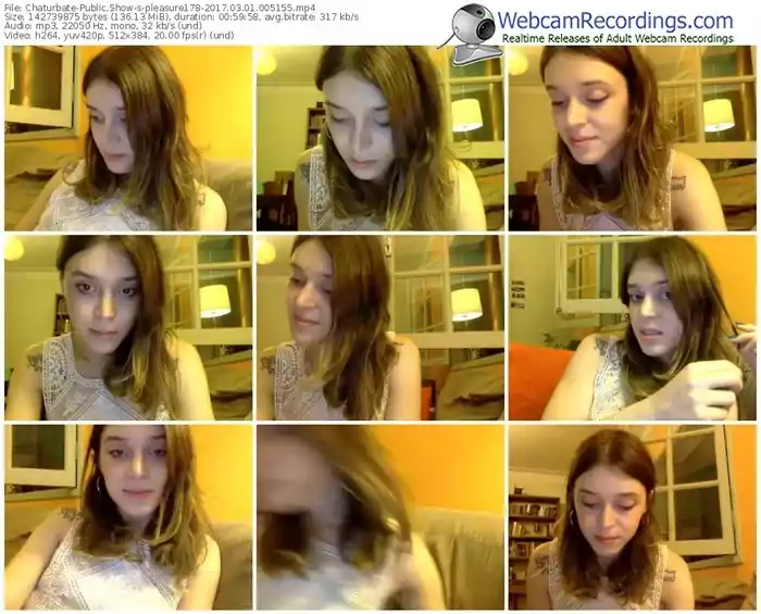 chaturbate-pleasure178-webcam-show-03_01_2017-00_51_55