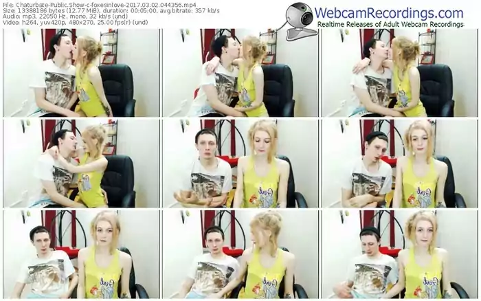 chaturbate-foxesinlove-webcam-show-03_02_2017-04_43_56