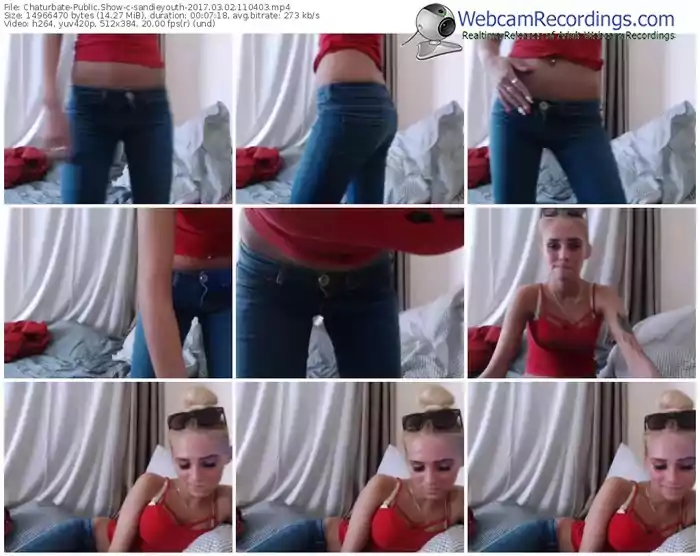 chaturbate-sandieyouth-webcam-show-03_02_2017-11_04_03