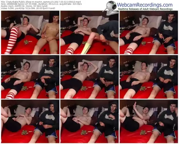chaturbate-martin_sammy15-webcam-show-03_02_2017-10_30_13
