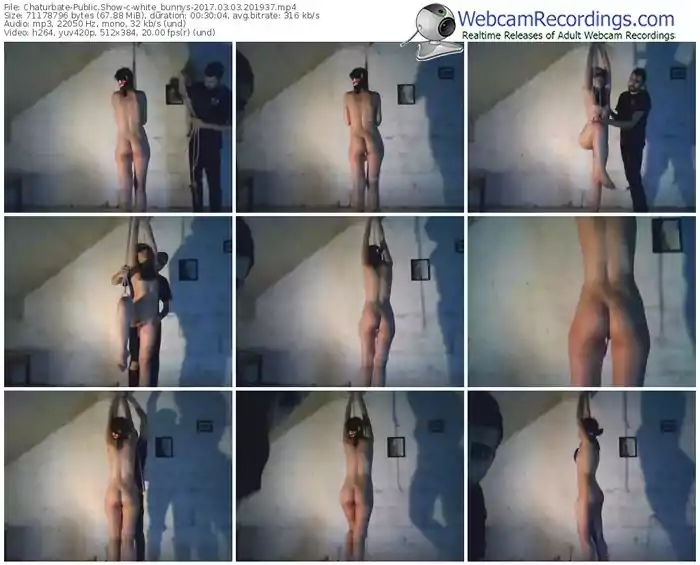 chaturbate-white_bunnys-webcam-show-03_03_2017-20_19_37