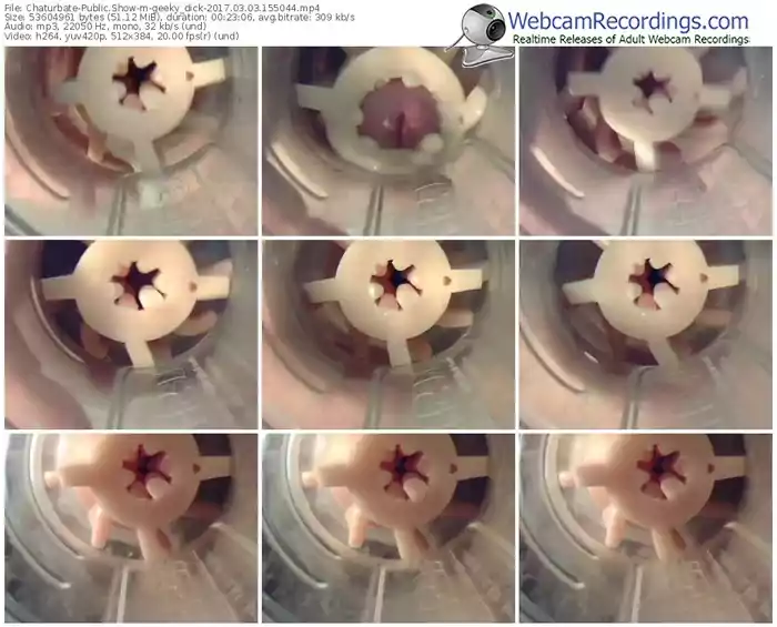 chaturbate-geeky_dick-webcam-show-03_03_2017-15_50_44