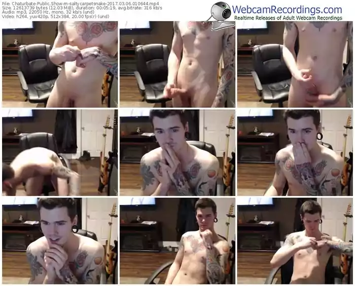 chaturbate-saltycarpetsnake-webcam-show-03_06_2017-01_06_44