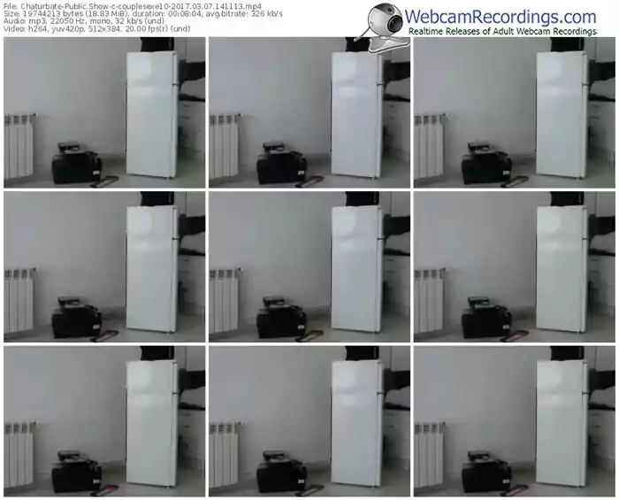 chaturbate-couplesexe10-webcam-show-03_07_2017-14_11_13