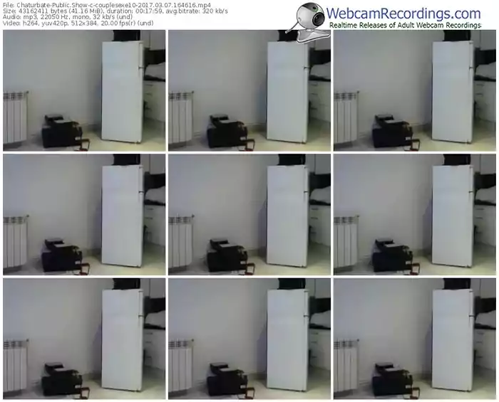 chaturbate-couplesexe10-webcam-show-03_07_2017-16_46_16