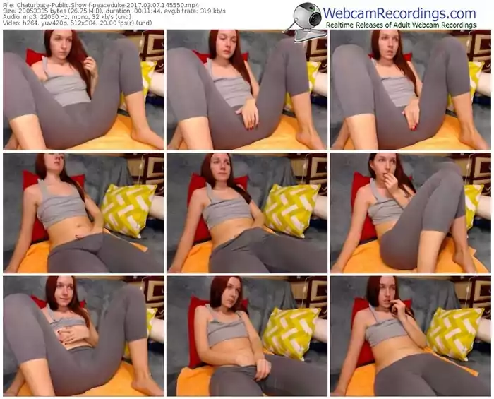 chaturbate-peaceduke-webcam-show-03_07_2017-14_55_50