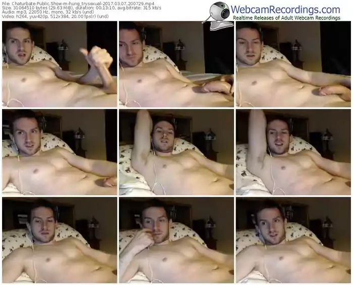 chaturbate-hung_trysexual-webcam-show-03_07_2017-20_07_29