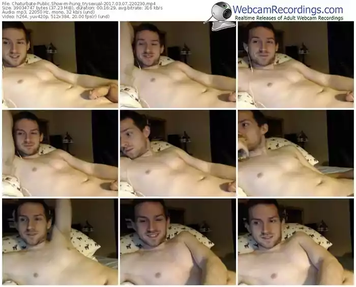 chaturbate-hung_trysexual-webcam-show-03_07_2017-22_02_30
