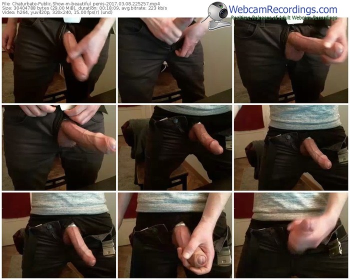chaturbate-beautiful_penis-webcam-show-03_08_2017-22_52_57