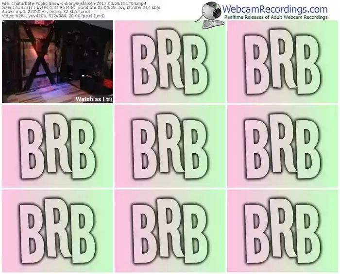 chaturbate-dionysusfalken-webcam-show-03_09_2017-15_12_04