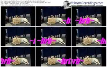 chaturbate-smokingfoool-webcam-show-03_09_2017-13_55_34