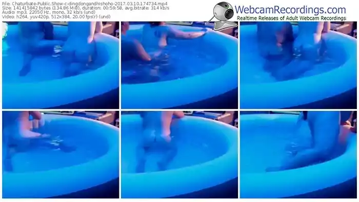 chaturbate-dingdongandhishoho-webcam-show-03_10_2017-17_47_34