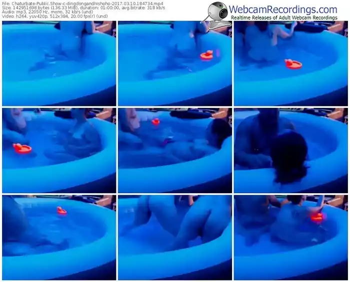 chaturbate-dingdongandhishoho-webcam-show-03_10_2017-18_47_34