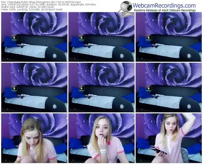 chaturbate-tinygizmo-webcam-show-03_10_2017-00_51_56