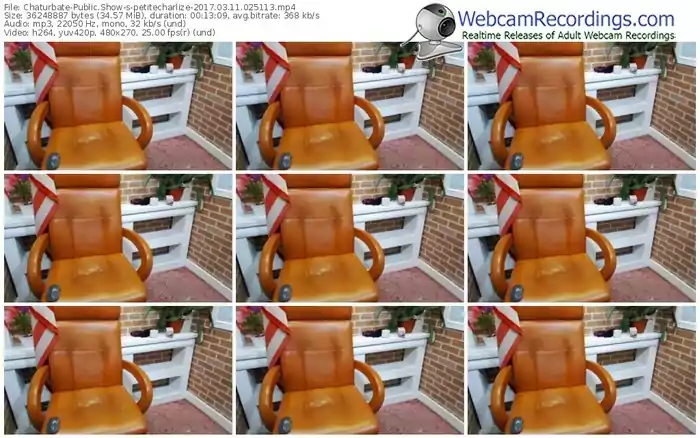 chaturbate-petitecharlize-webcam-show-03_11_2017-02_51_13