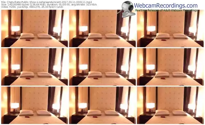 chaturbate-saharaandvincent-webcam-show-03_11_2017-00_01_11