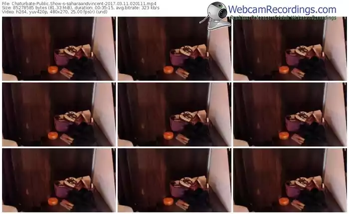 chaturbate-saharaandvincent-webcam-show-03_11_2017-02_01_11