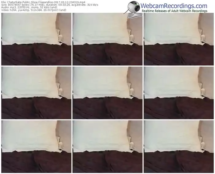 chaturbate-leeandloo-webcam-show-03_12_2017-23_43_19