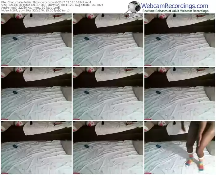 chaturbate-cocosowet-webcam-show-03_13_2017-15_38_47