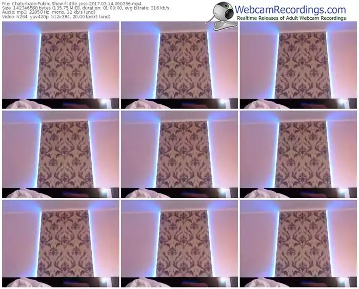 chaturbate-little_jess-webcam-show-03_14_2017-09_03_56