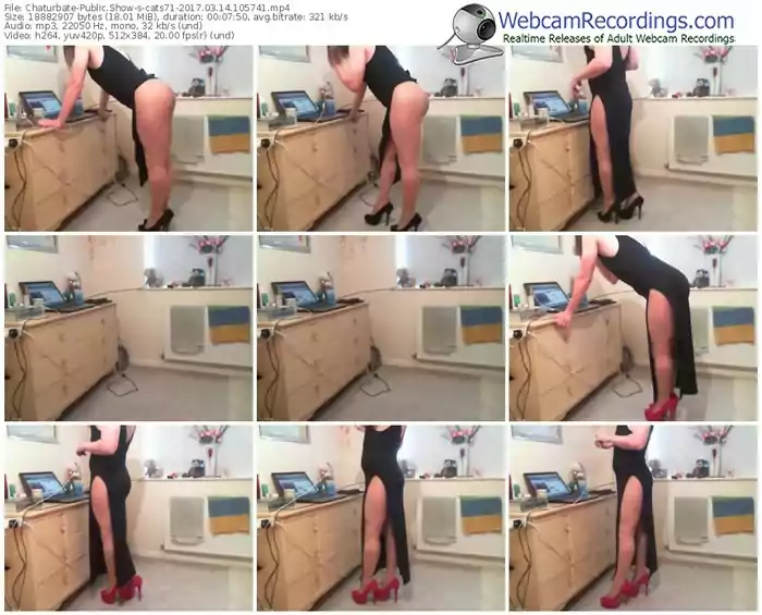 chaturbate-cats71-webcam-show-03_14_2017-10_57_41