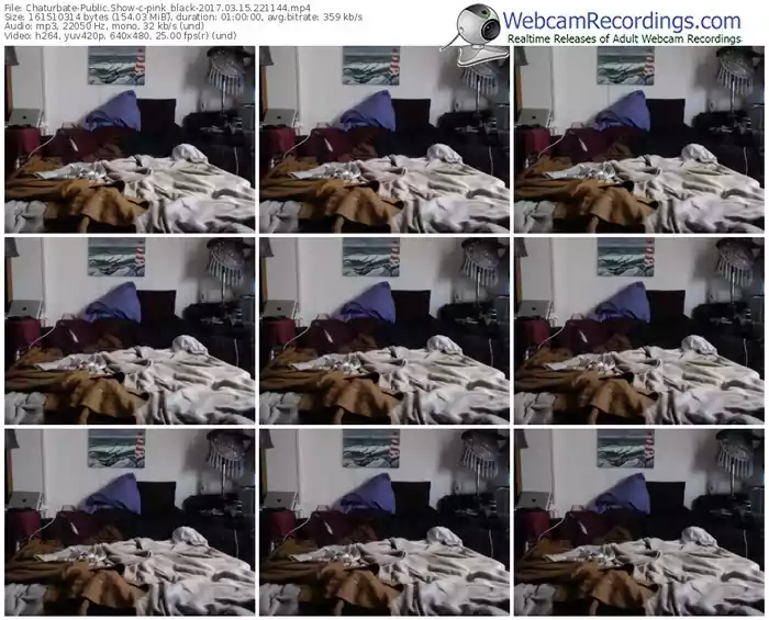 chaturbate-pink_black-webcam-show-03_15_2017-22_11_44
