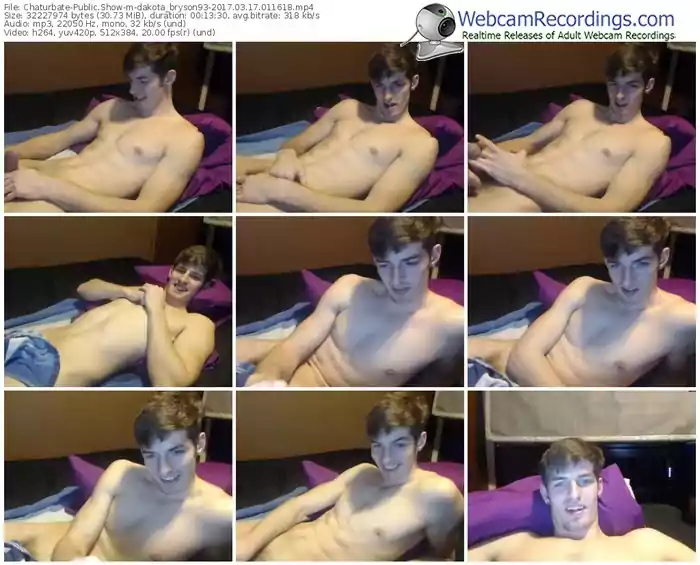 chaturbate-dakota_bryson93-webcam-show-03_17_2017-01_16_18