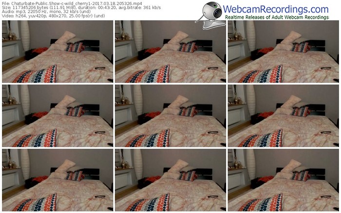 chaturbate-wild_cherry1-webcam-show-03_18_2017-20_53_26