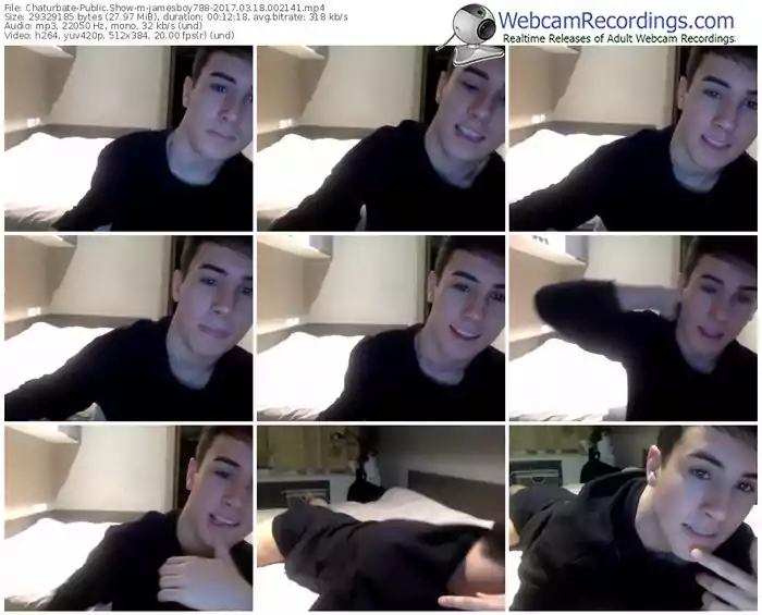 chaturbate-jamesboy788-webcam-show-03_18_2017-00_21_41