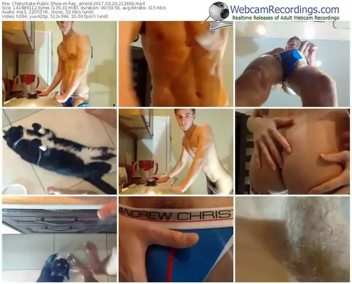 chaturbate-hey_arnold-webcam-show-03_20_2017-21_26_06